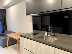 The Rise @ Oxley - Residences (D9), Apartment #622578951